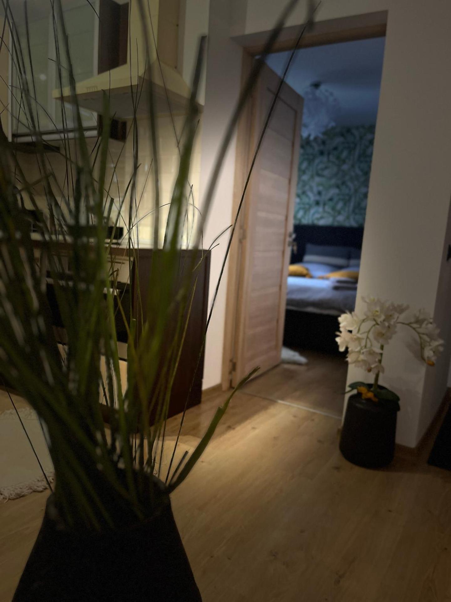 ROMAN Residence Apartment