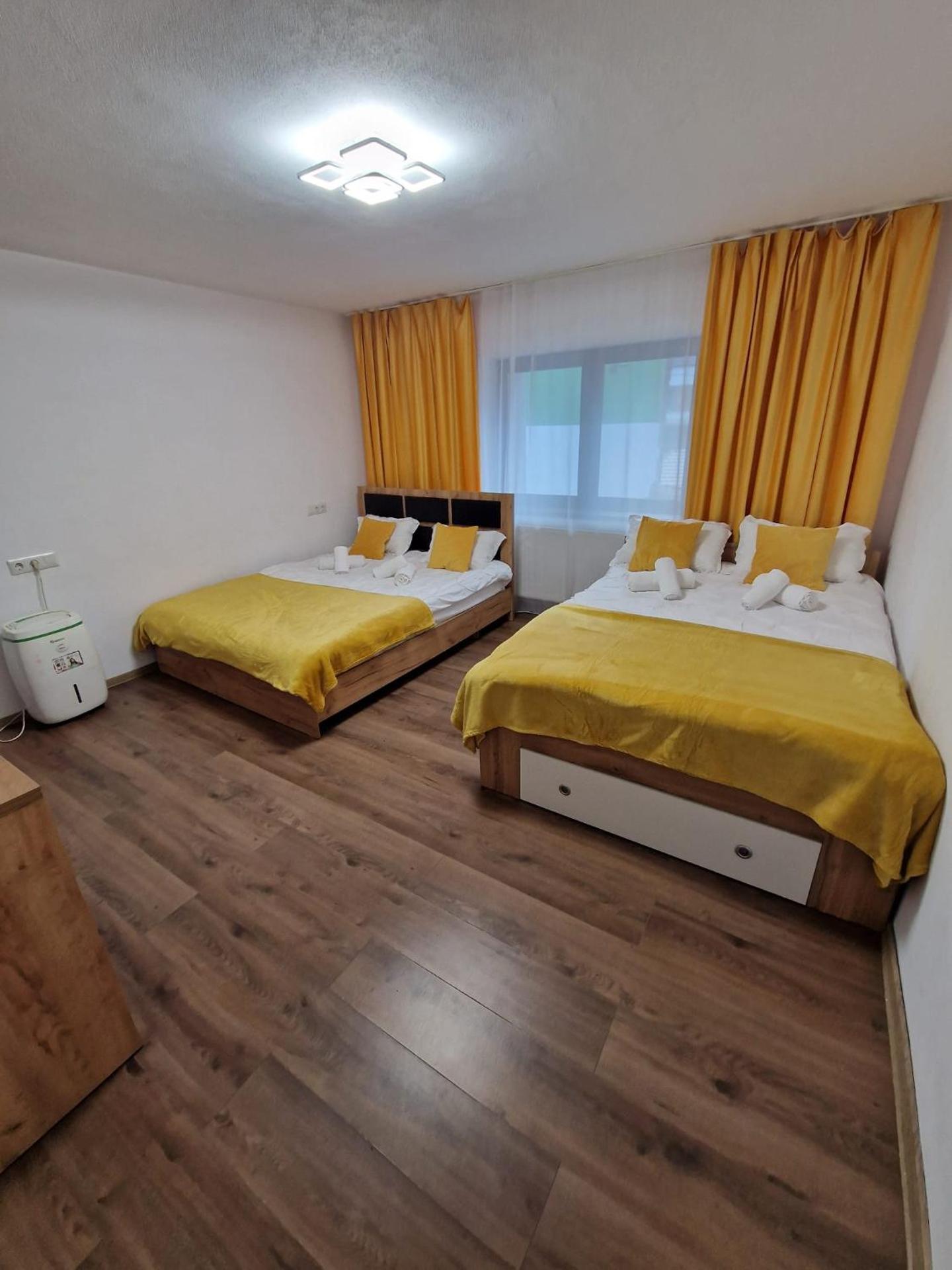 Vila AliBi Valiug - 200m from Ponton Casa Baraj