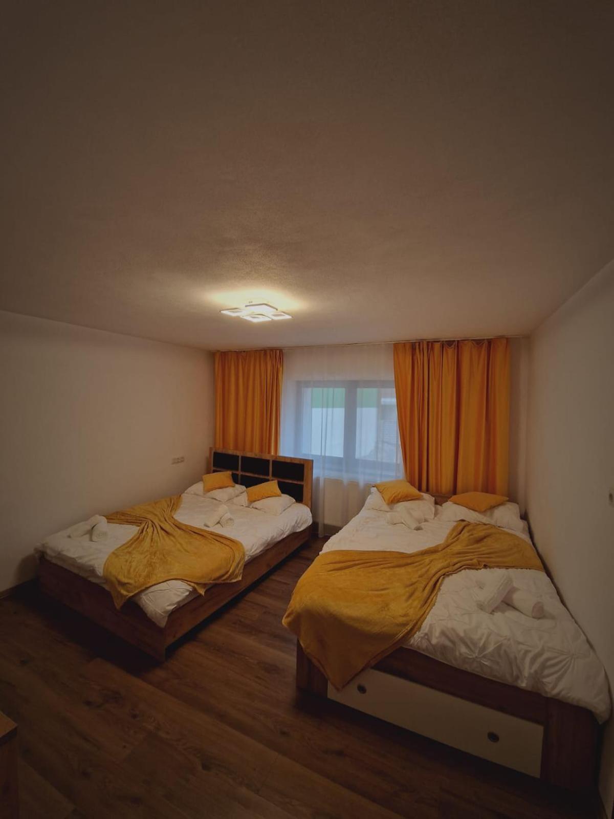 Vila AliBi Valiug - 200m from Ponton Casa Baraj