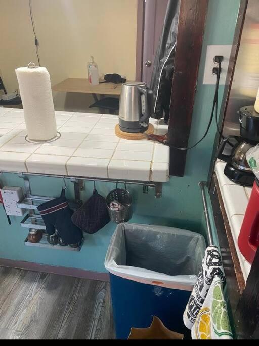 Rock Pad for Yale, Visitors, Nurses, Staff