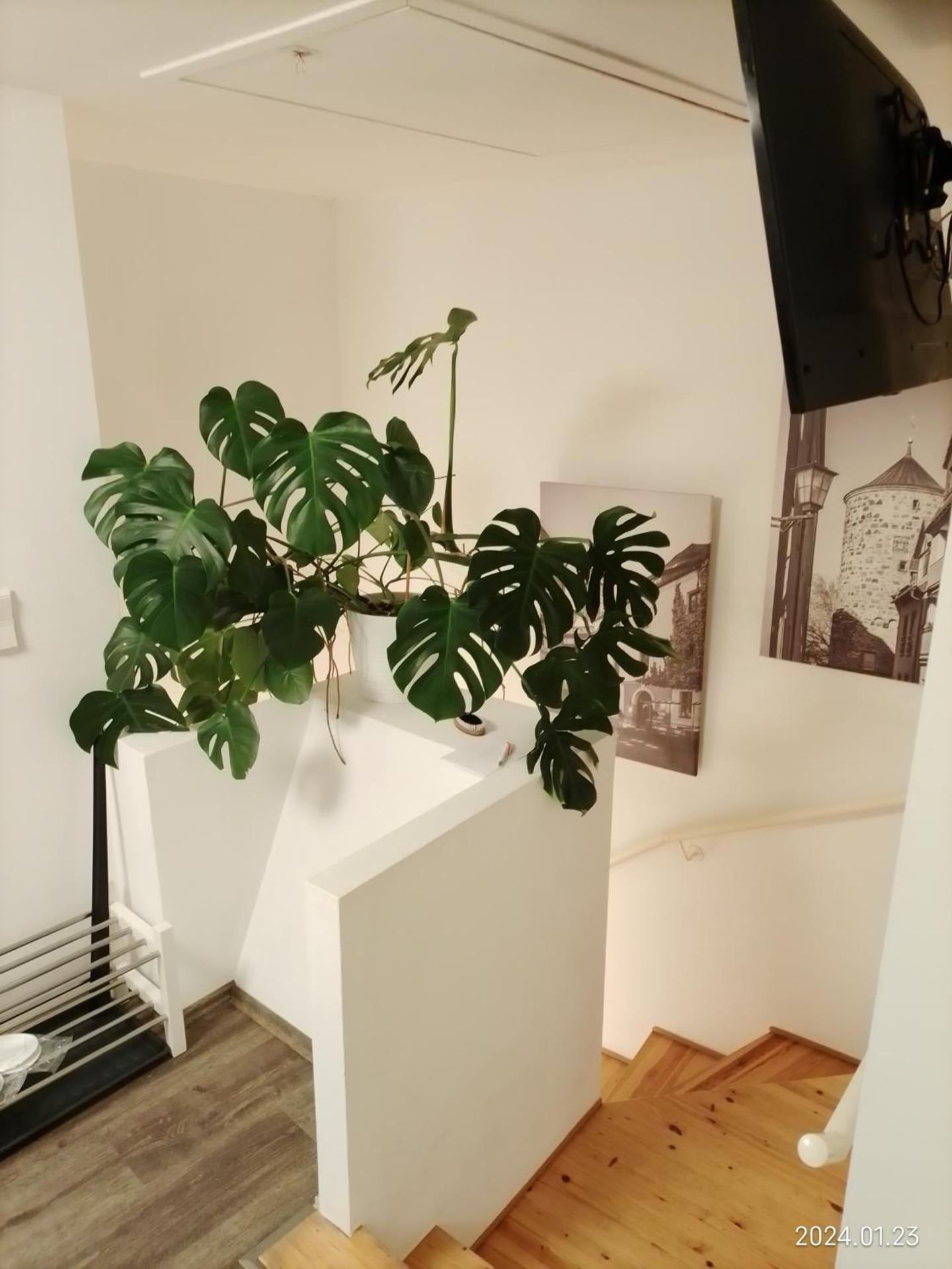 Juniorsvit med balkong