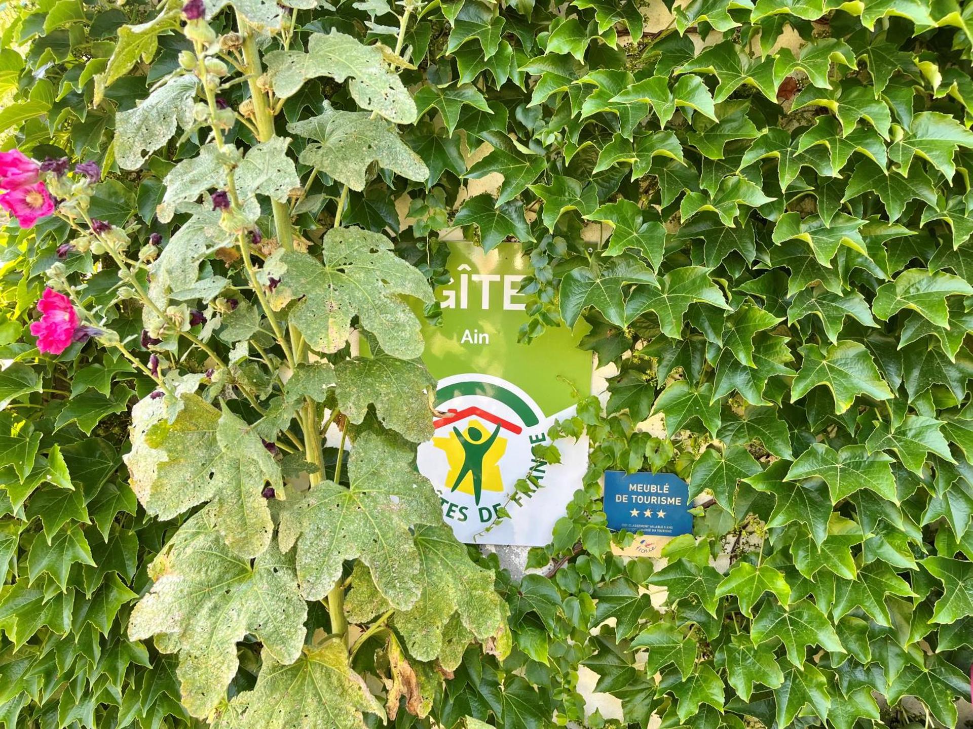 Logo/Certificate/Sign