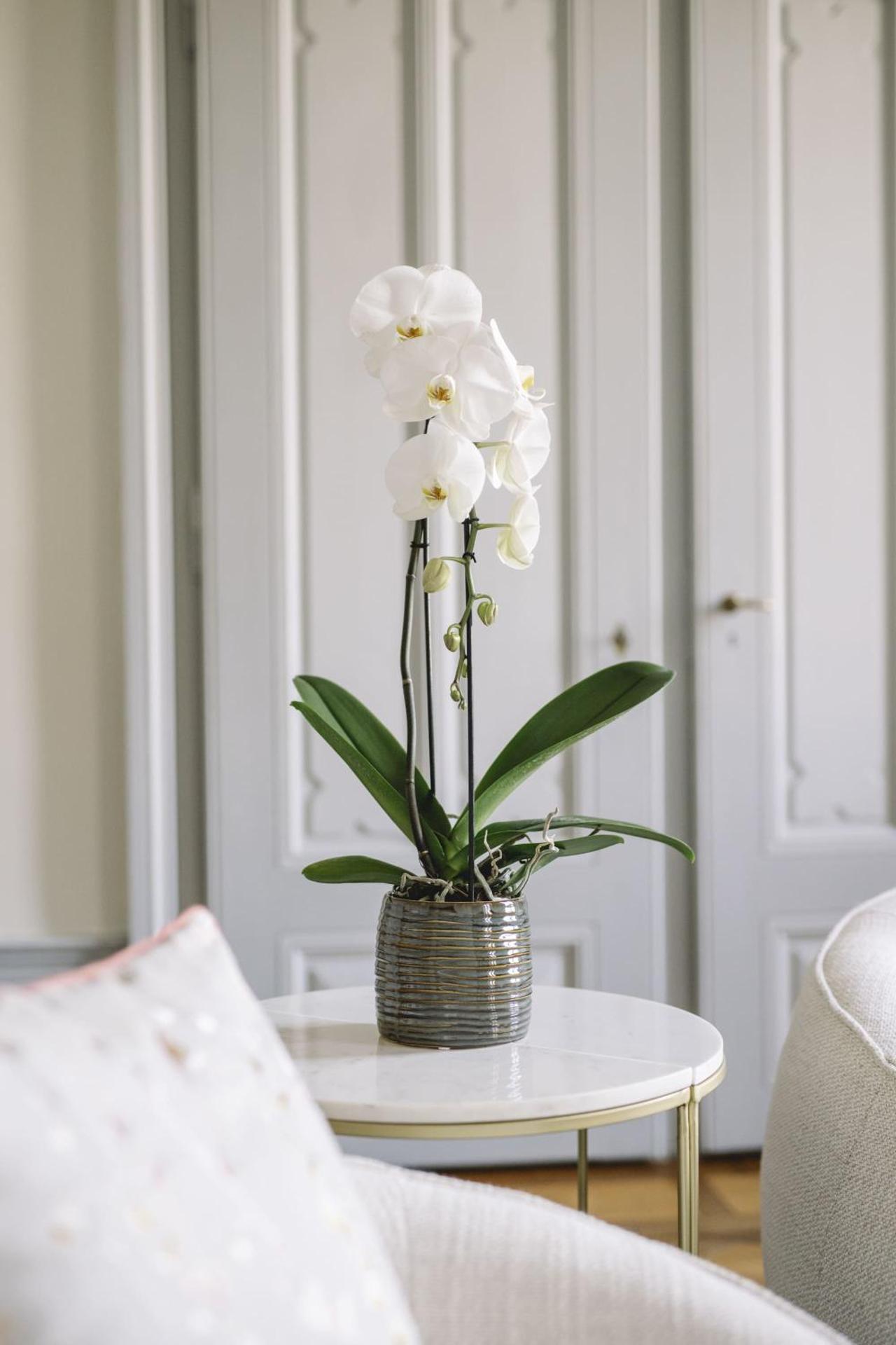 Château de l'Aile- Boutique Suites