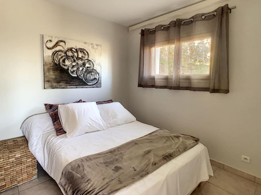 Condrieu, le Châtillon au cœur du vignoble belle vue sur vallée du Rhône