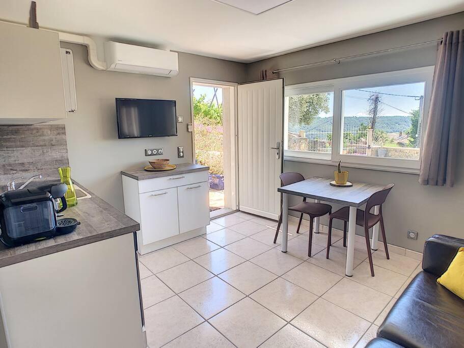 Condrieu, le Châtillon au cœur du vignoble belle vue sur vallée du Rhône