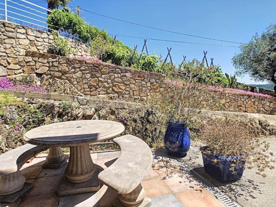 Condrieu, le Châtillon au cœur du vignoble belle vue sur vallée du Rhône