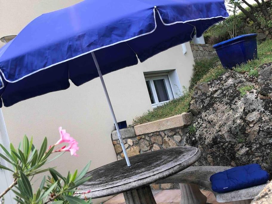 Condrieu, le Châtillon au cœur du vignoble belle vue sur vallée du Rhône