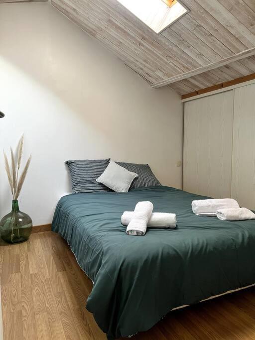 Puy du fou (10 min) - Nature - T3 L'étape du Puy