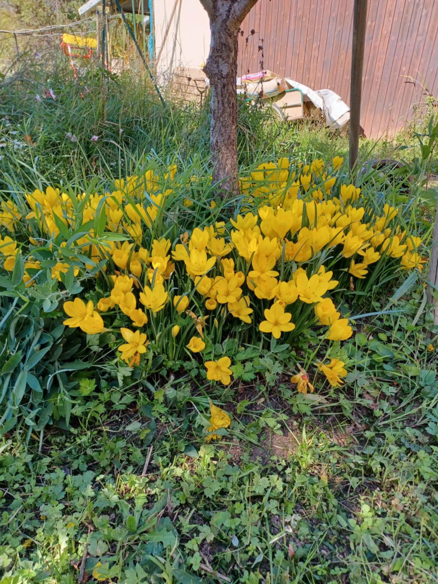 Chambre calme et agréable
