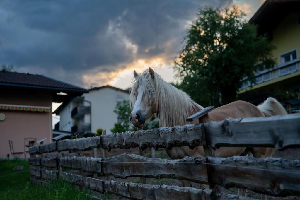 Tiny House nähe Millstättersee gemütlich & autark