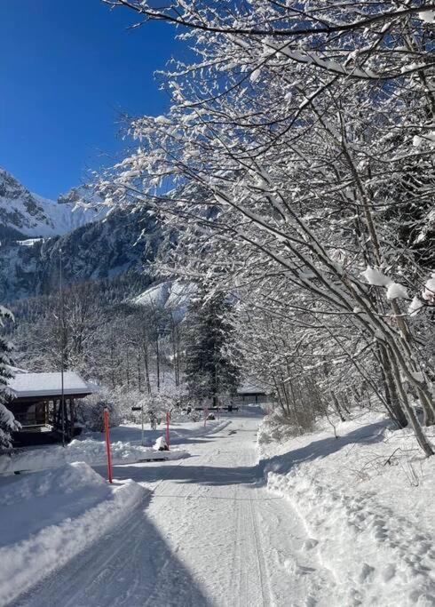 Chalet Spatz Loft Kandersteg Oeschinen Lake