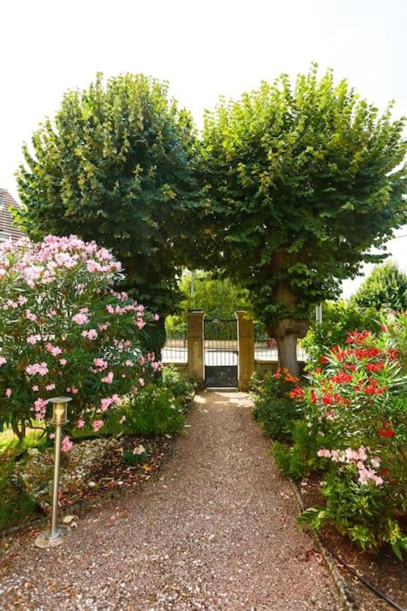 F3 80 m2 Longére plain pied au centre auxonne.