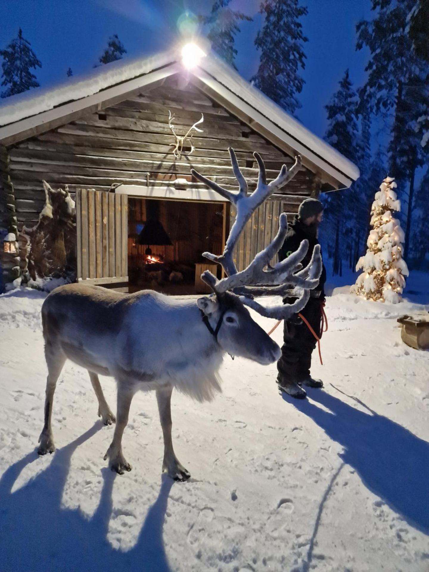 Reindeer Lake Resort