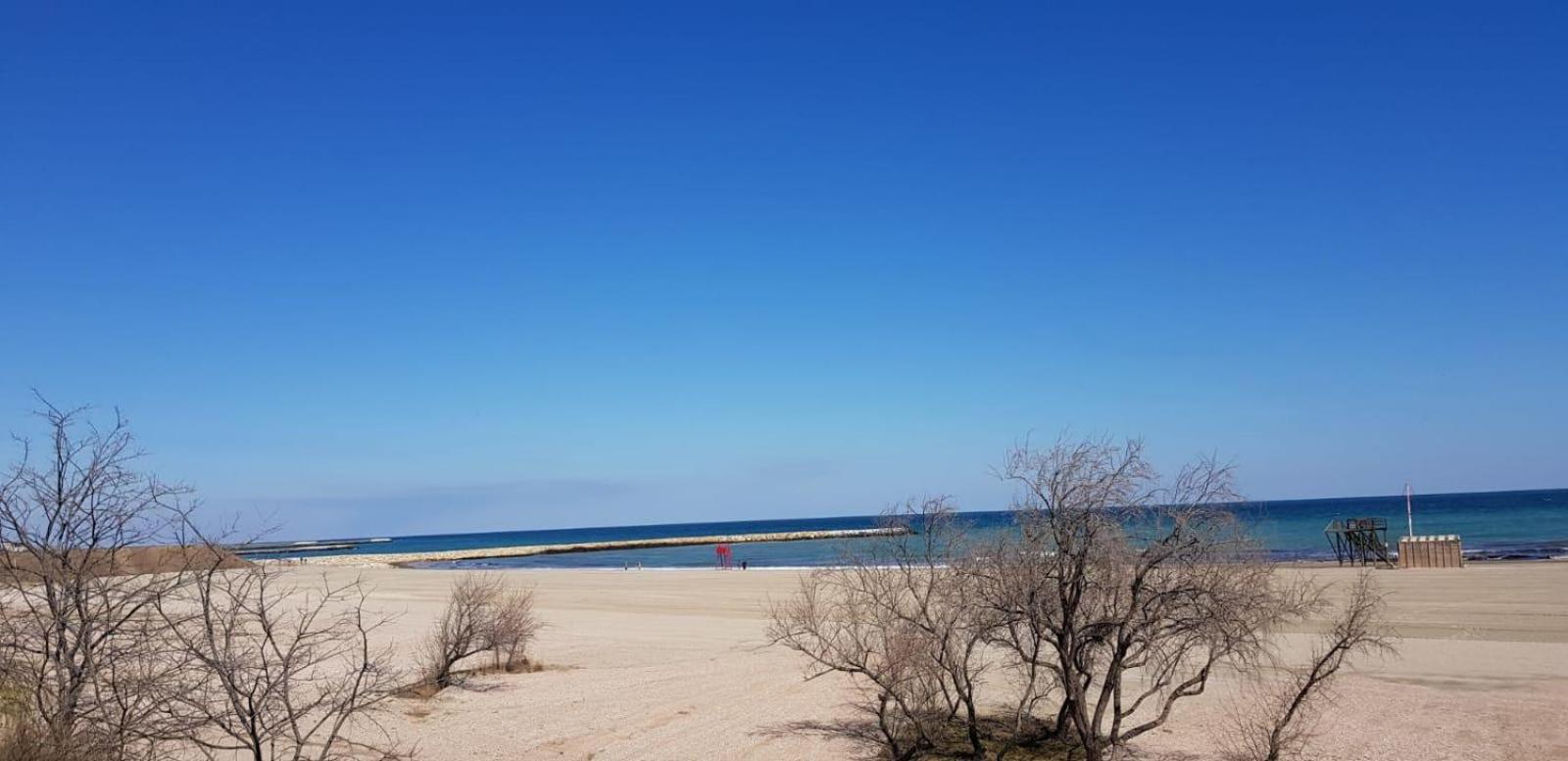 Apartament Plaja Modern Black Sea