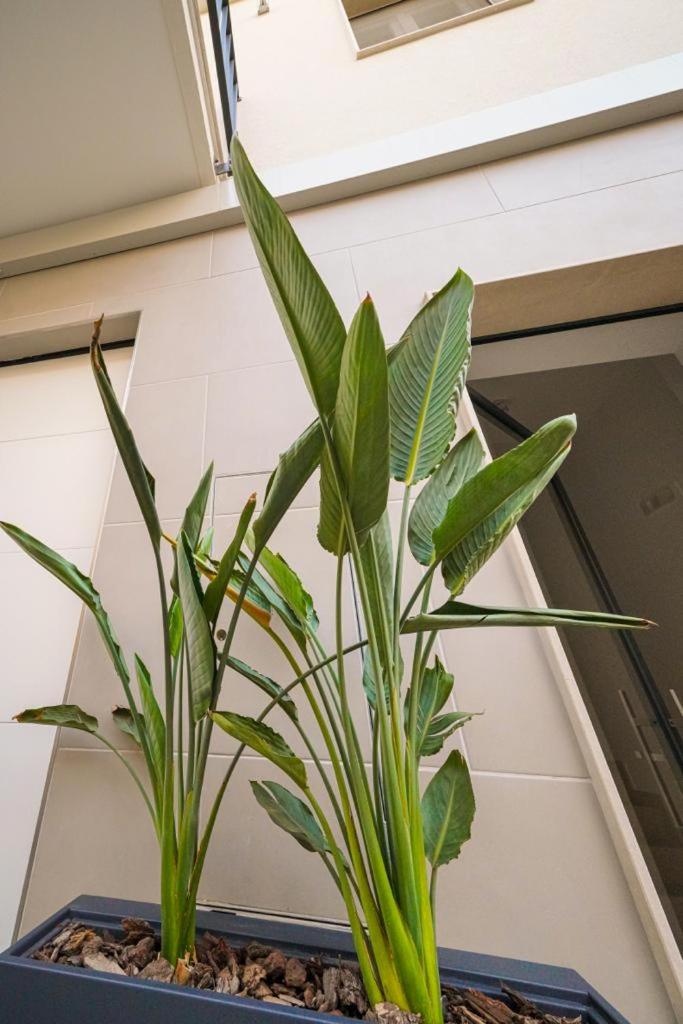 Run House 07 Rooms & Apartments