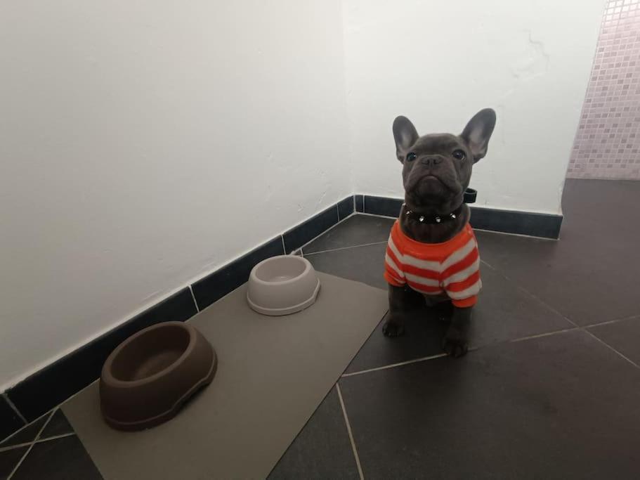 La Casa del Capo - appartamento con 2 camere.