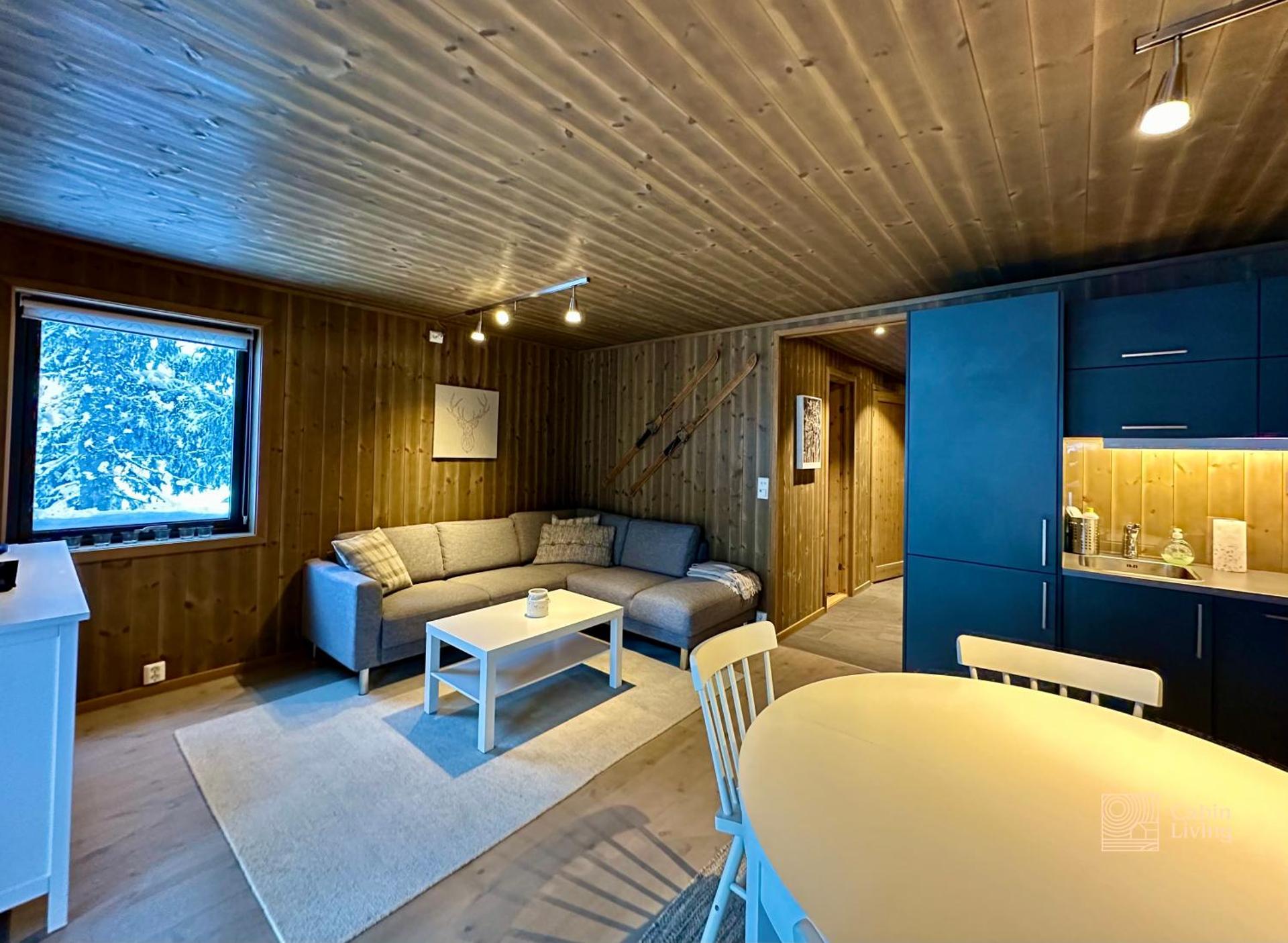 Modern ski-in out apartment at Sjusjøen