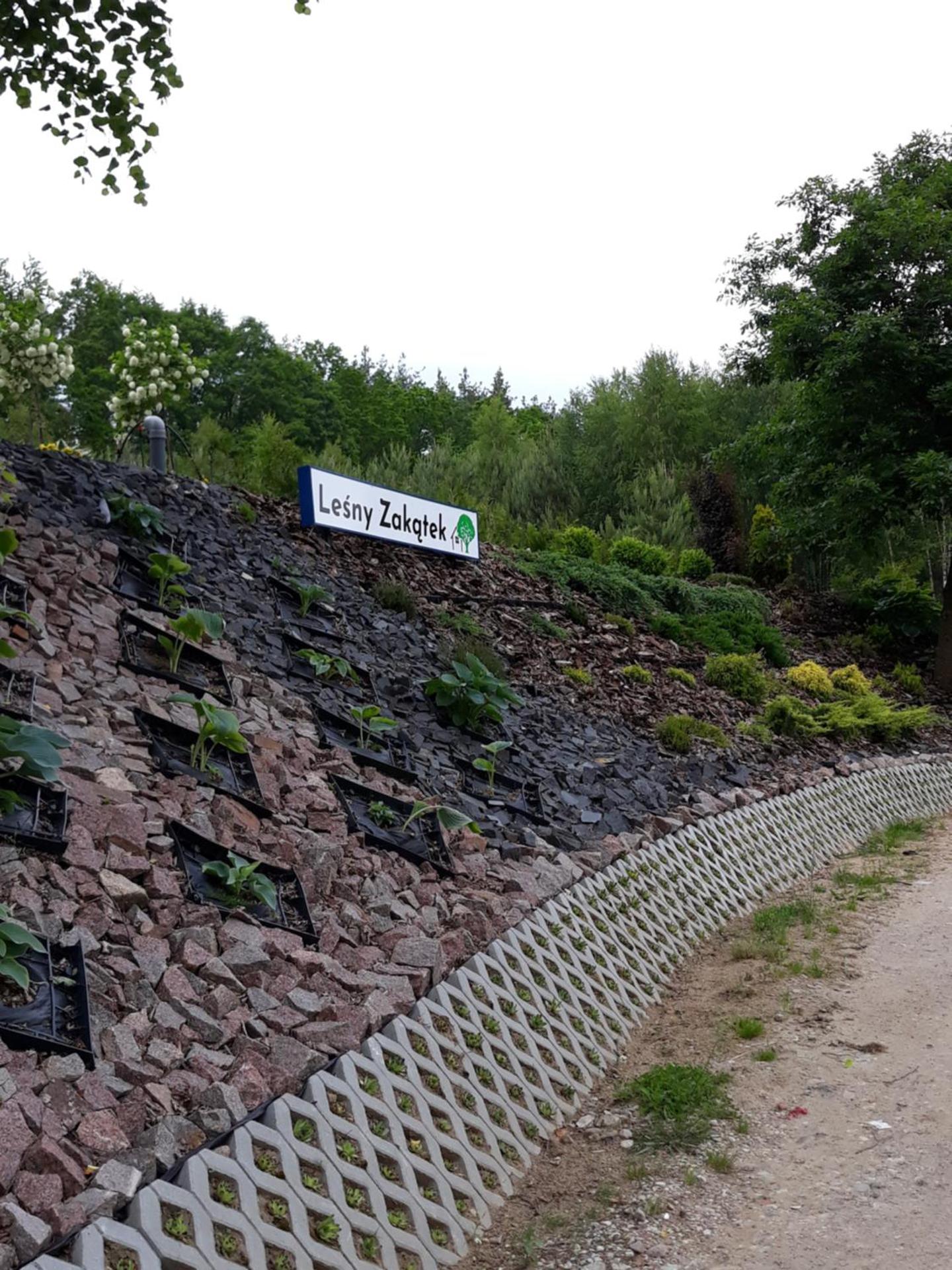 Leśny Zakątek- Domek Lipa