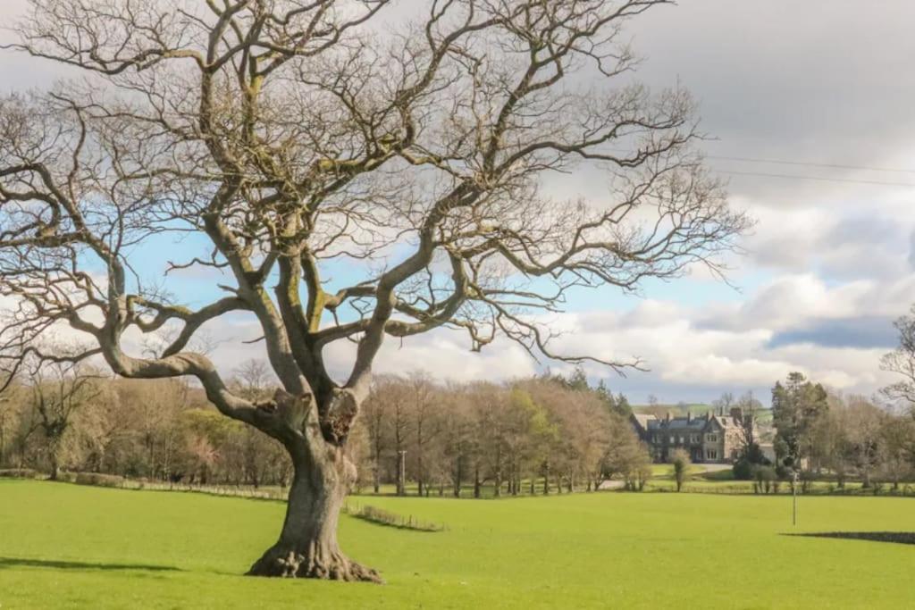 Two Acres- Spacious, delightful, pet free bungalow