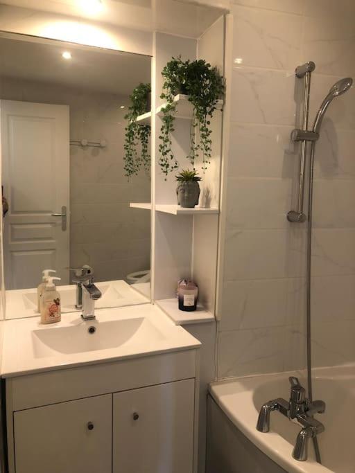 Studio cosy en plein centre-ville