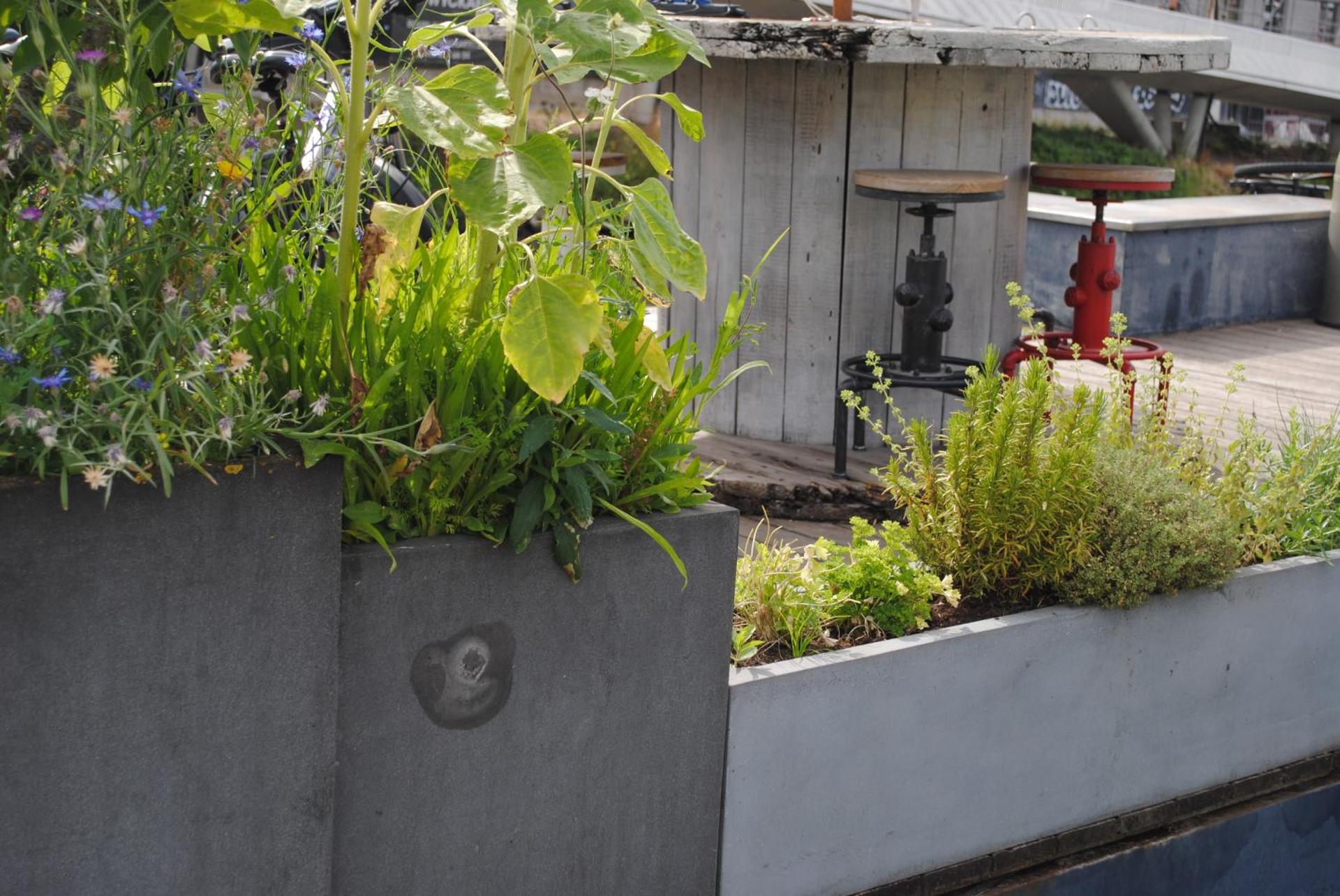 Boat & Breakfast Bellevue