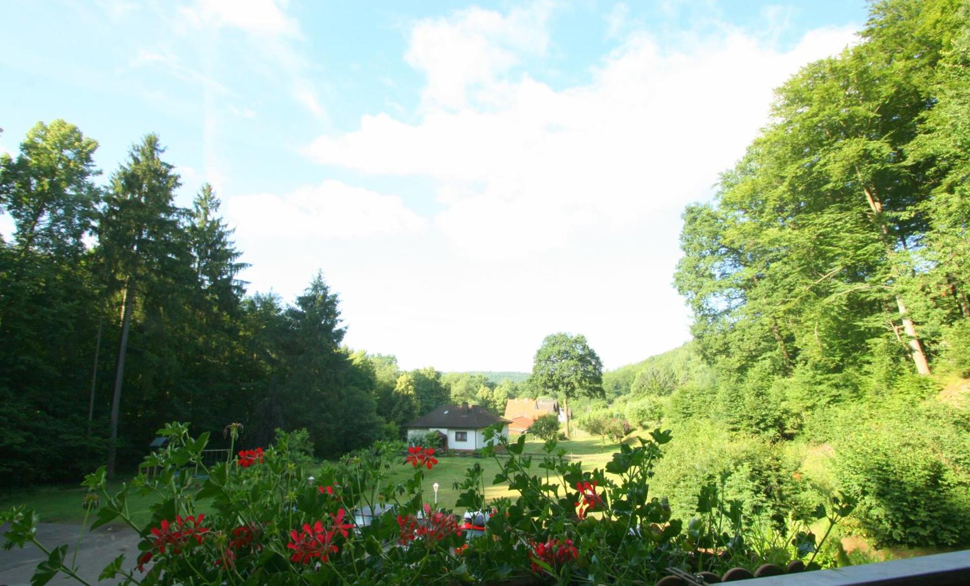 Garden view