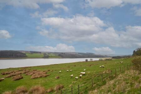 Host & Stay - Himmell