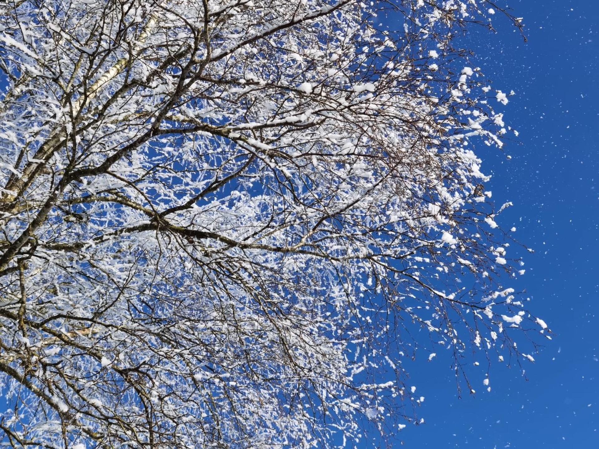 Appartement au centre d'une ville historique.