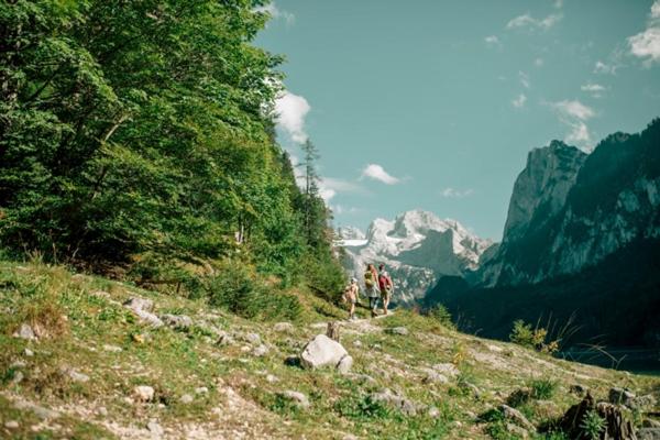 Appartements Pension Elfi