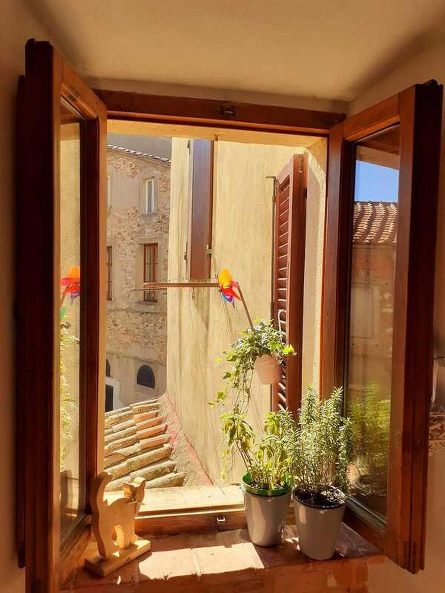 View (from property/room)