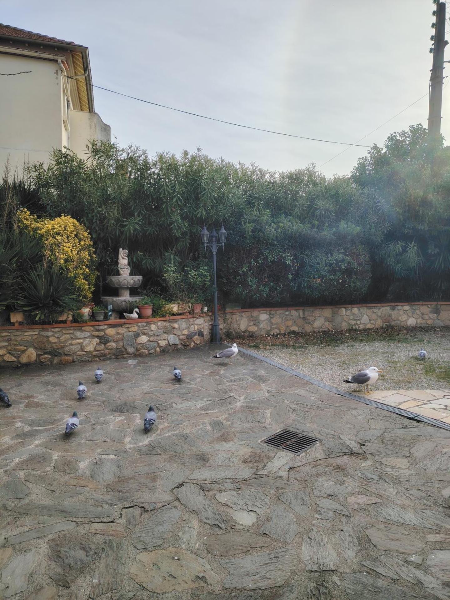 Hébergements à La Rive, Accueil ouvert tous les jours jusqu'à 20h00 dernier délai, depuis 30 ans ! Réserver ici svp ! Merci ! Aucun règlement à distance accepté, Paiement par CB, Espèces, Chèque ou Chèques-Vacances impérativement à la remise des clefs !