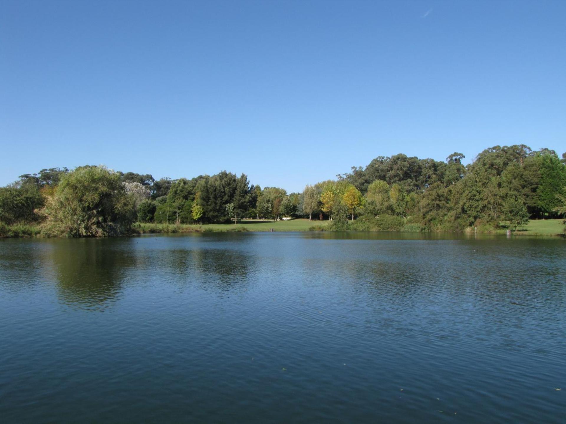 Children play ground