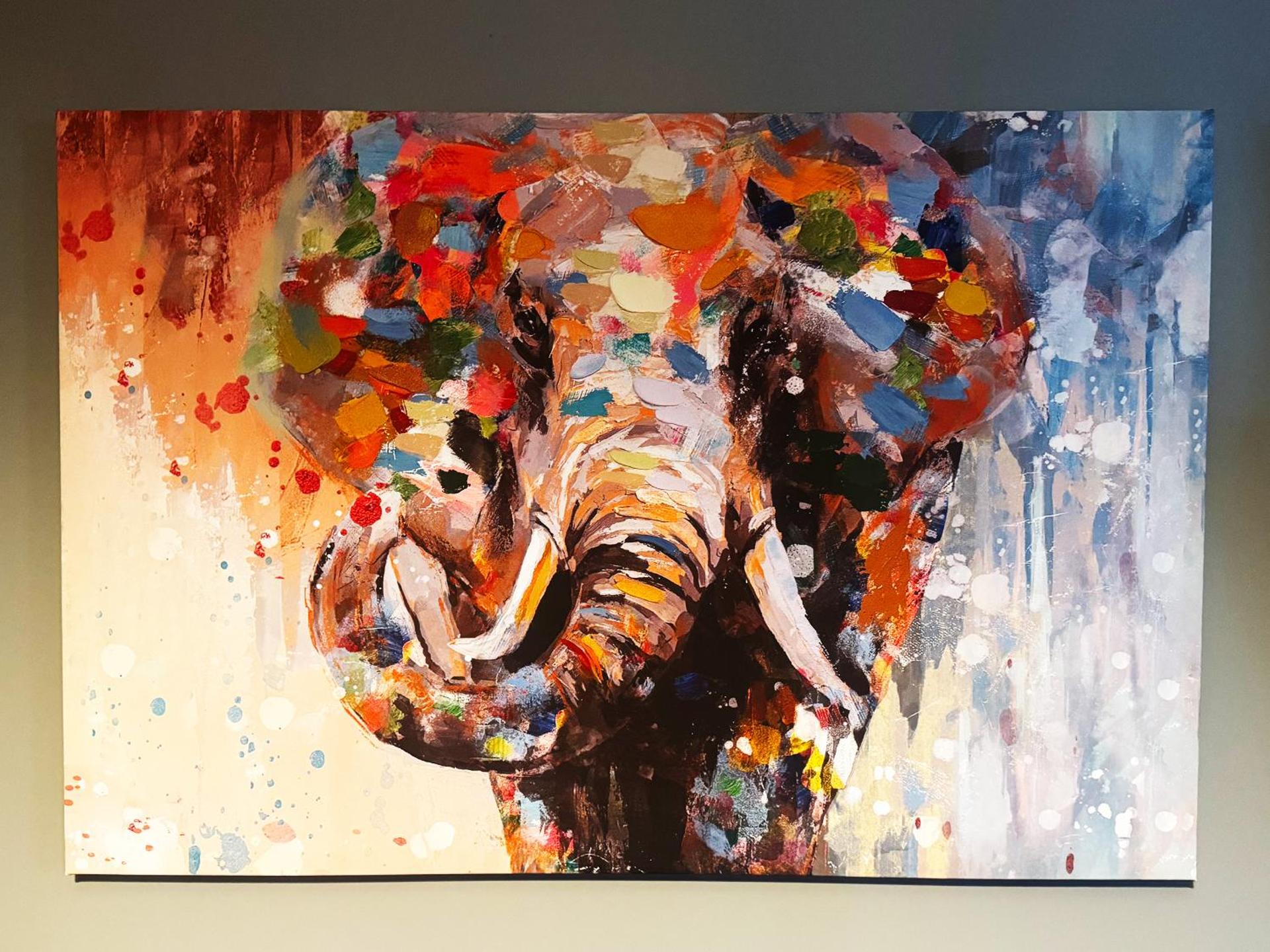 The Veterinary @ Kildare Village