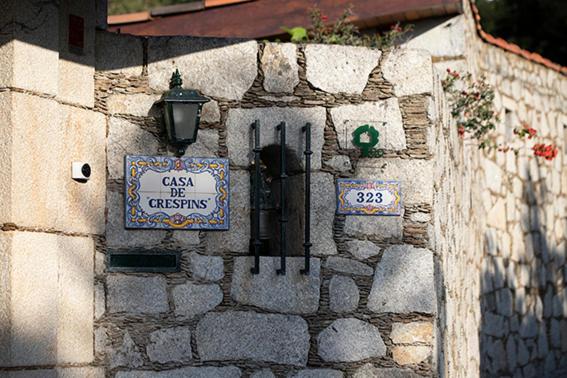 Logo/Certificate/Sign