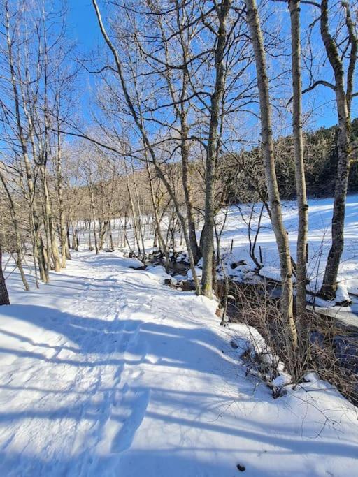 Chalet, Murat (nouveau logement)