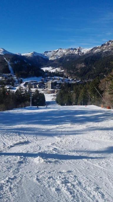 Chalet, Murat (nouveau logement)