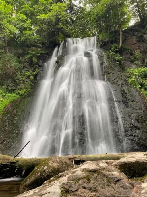 Chalet, Murat (nouveau logement)