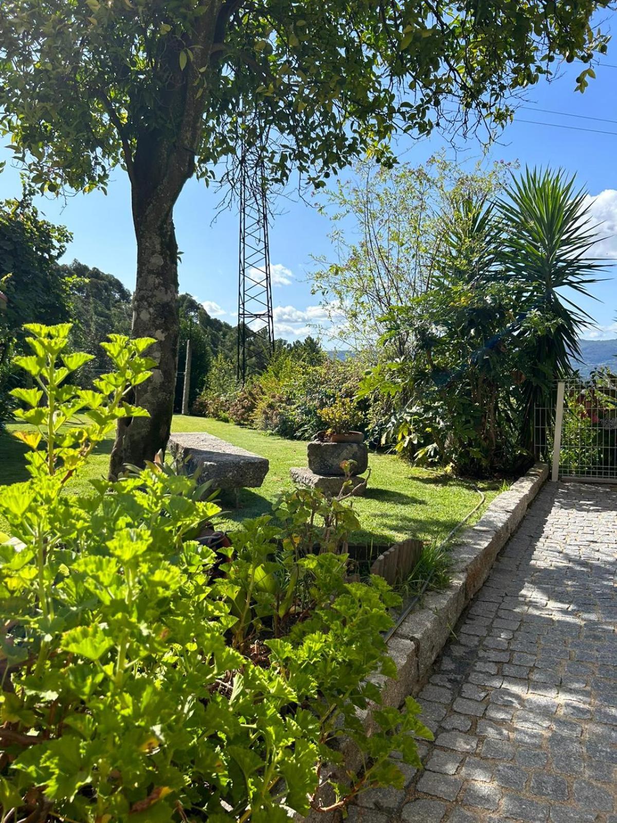 Fontainha House & SPA