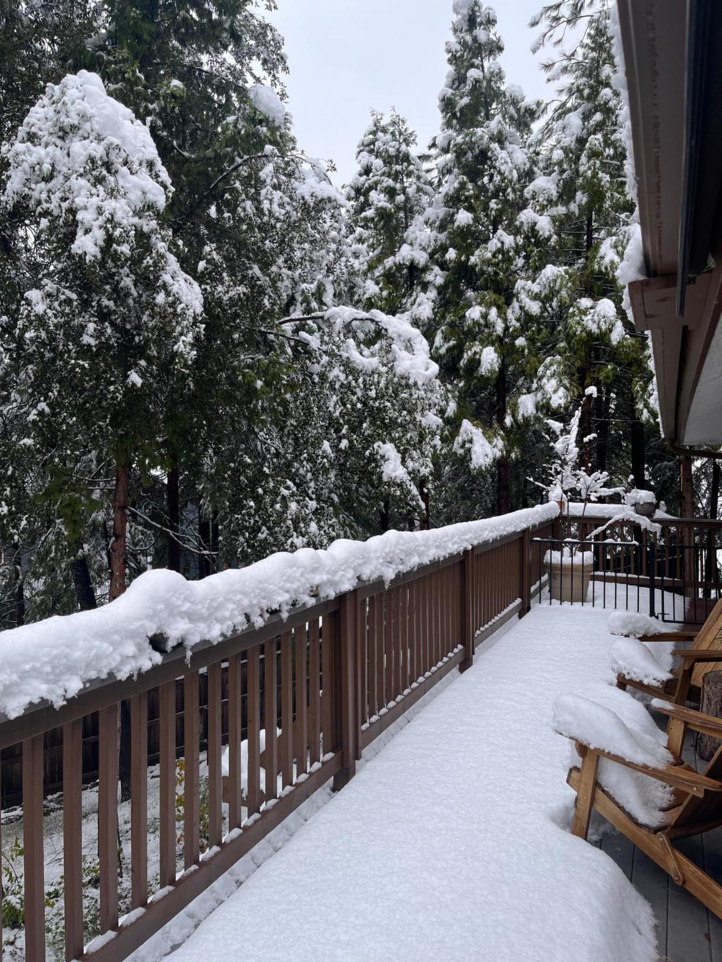 Ponderosa Creekside Retreat