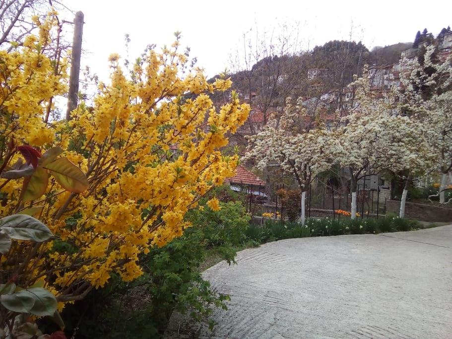 Αρχοντικό Ειρήνη - 6 Metsovo