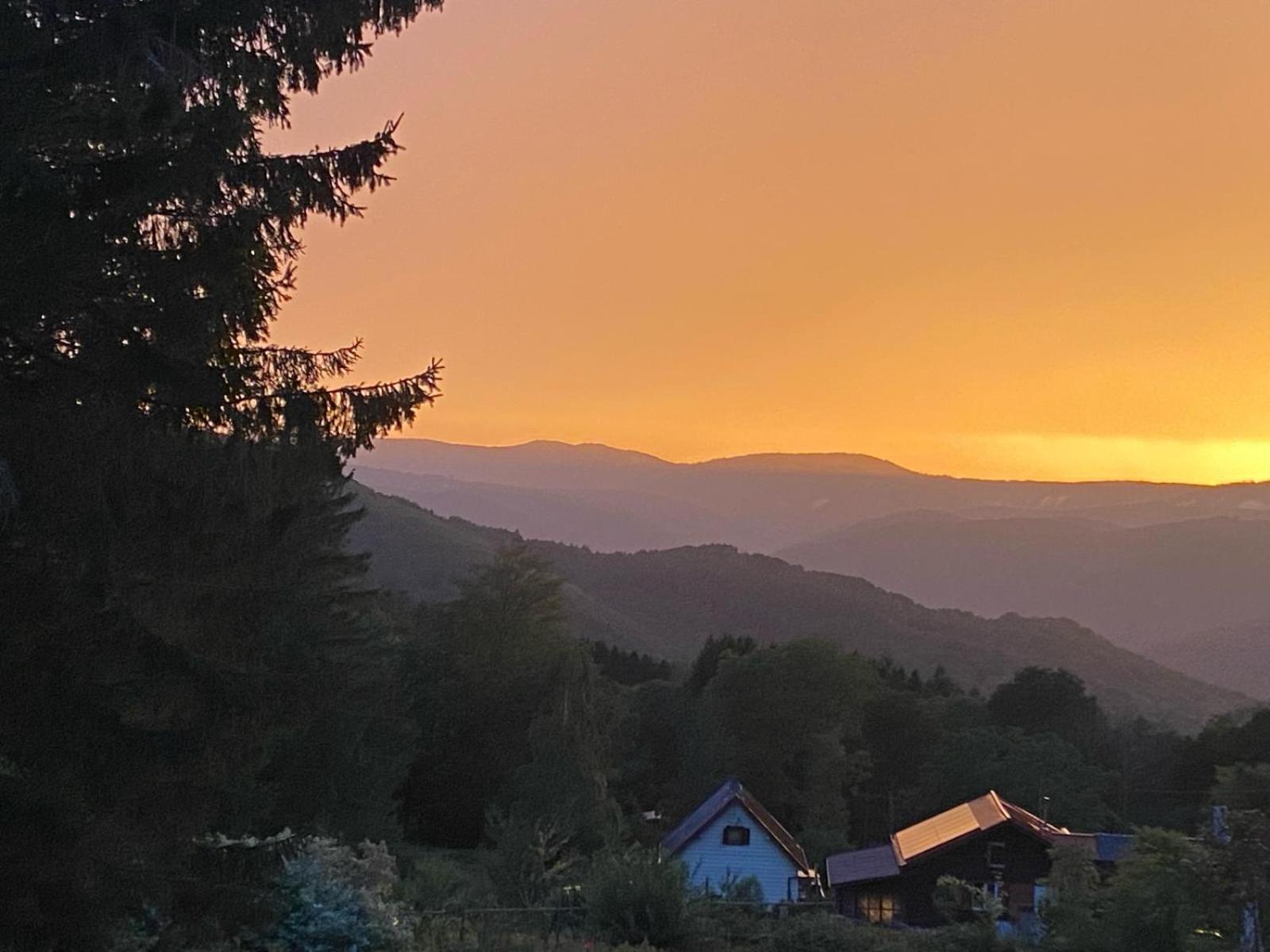 Natur’Lovers - Chalet d’exception - Jacuzzi et hammam en pleine nature