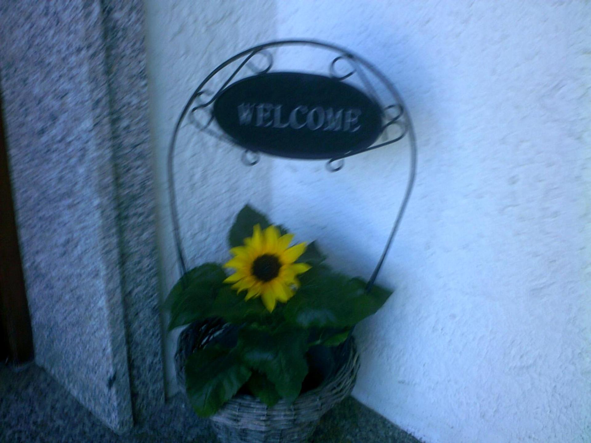 Haus Alpenblick inkl. Chiemgaukarte