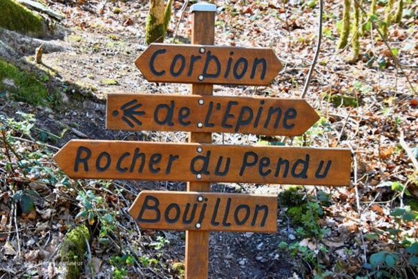 Logo/Certificate/Sign