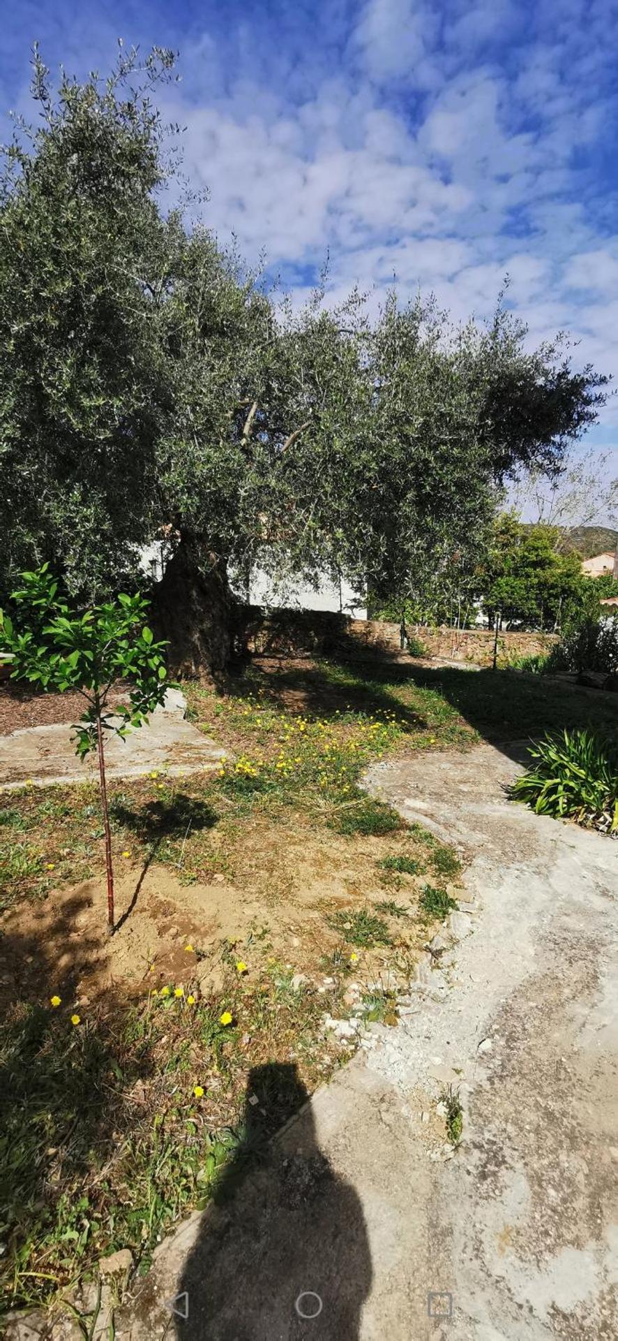 Appartement entre mer et montagne avec beau jardin