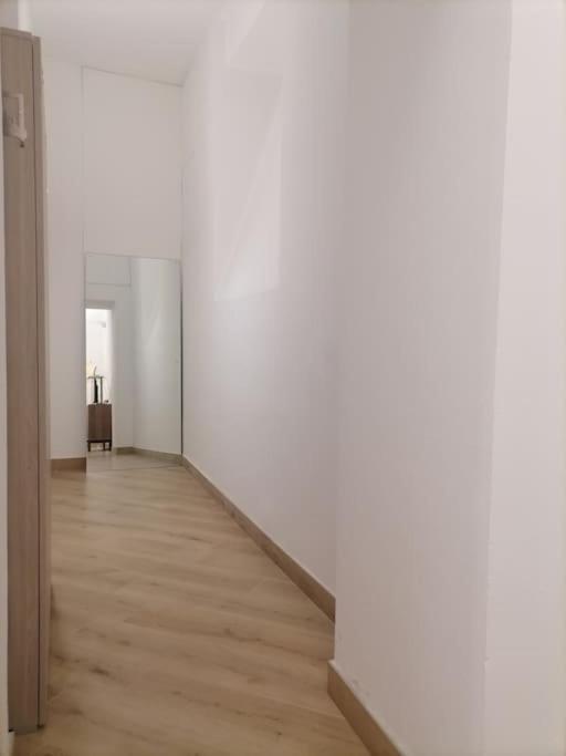 MOLO 7 - ANTESITUM - classic, modern and cozy