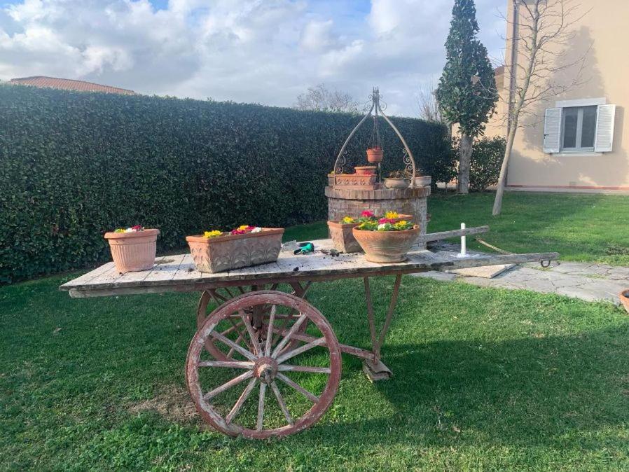 leupupe relax cultura mare monti