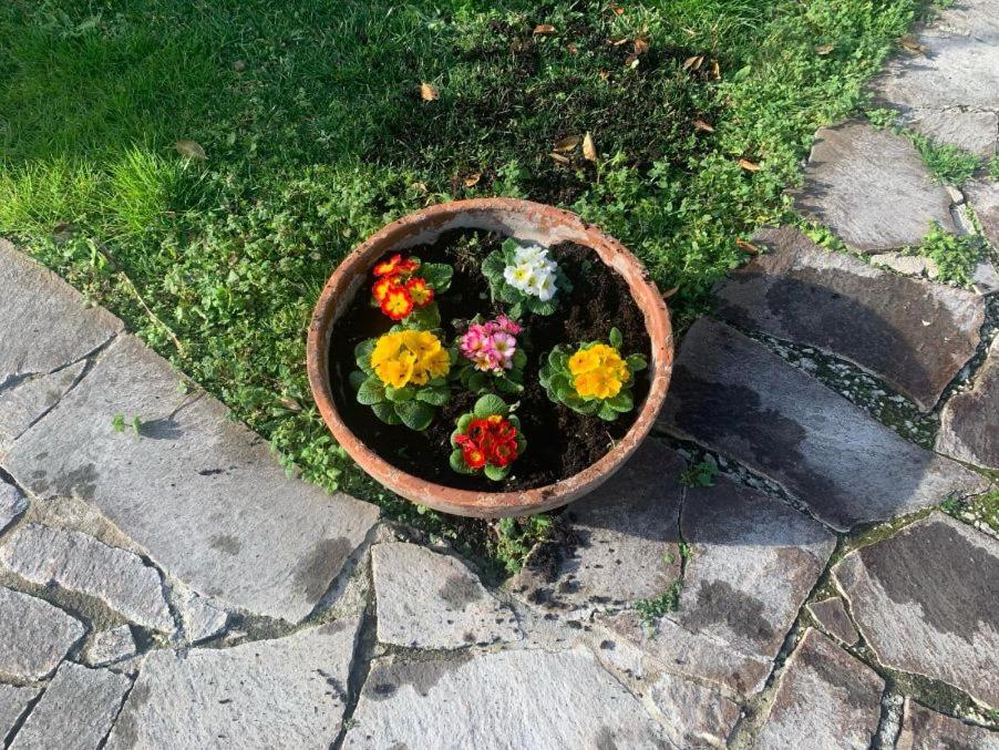 leupupe relax cultura mare monti