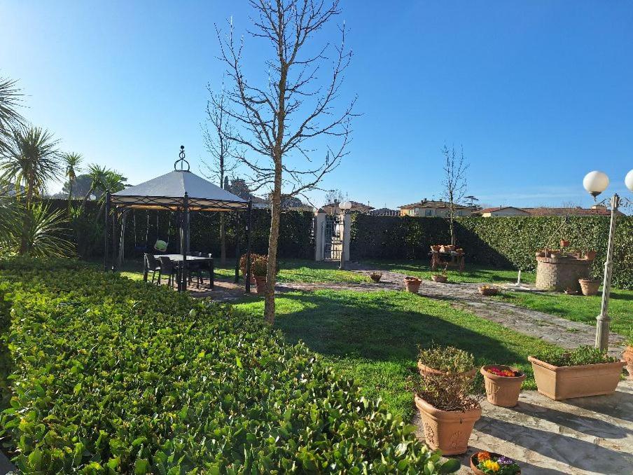 leupupe relax cultura mare monti