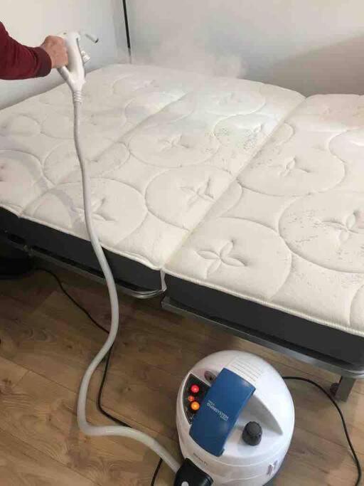 Aux cigognes de Blotzheim