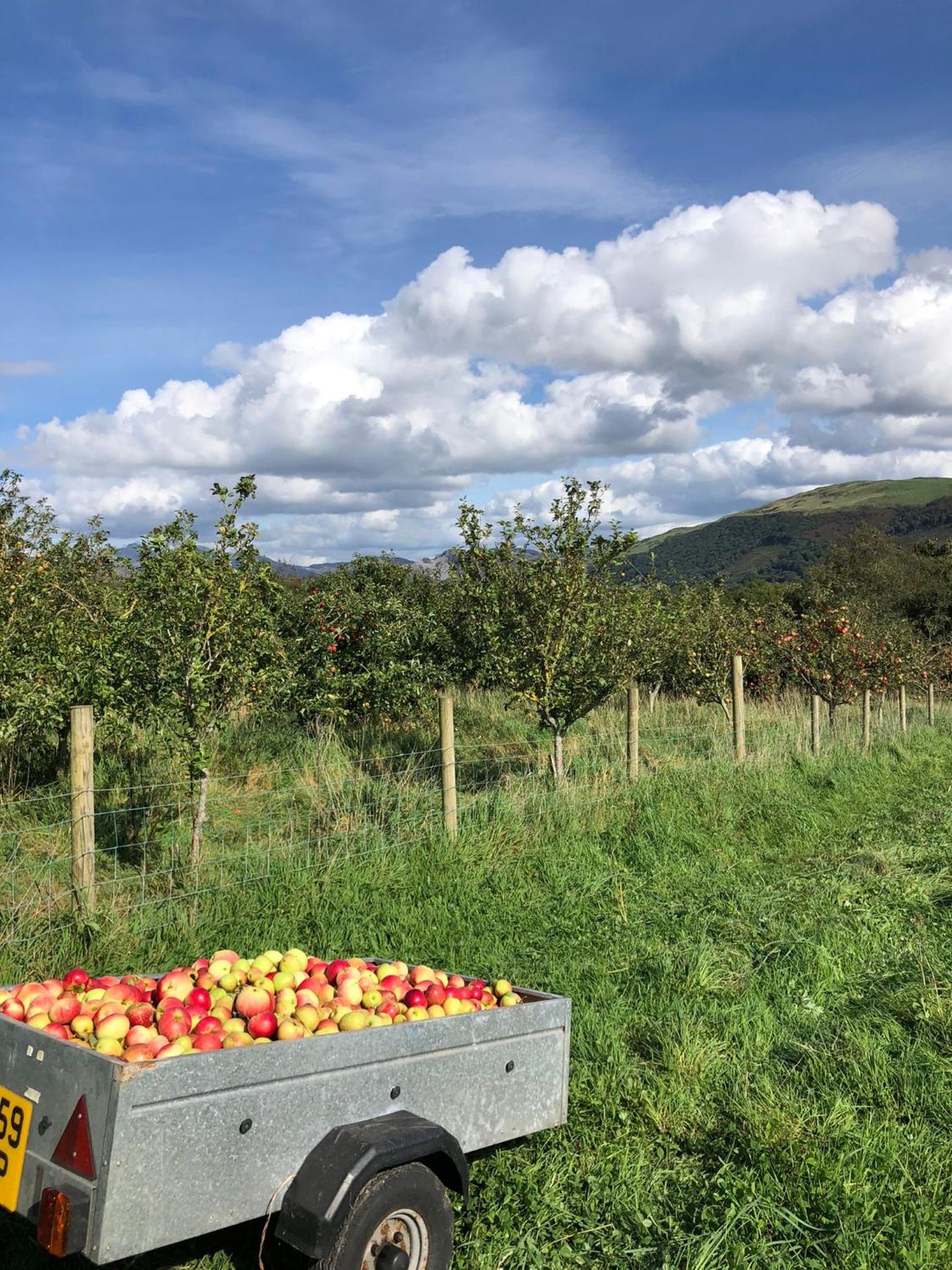 The Cosy Pad Glan Y Morfa Bach